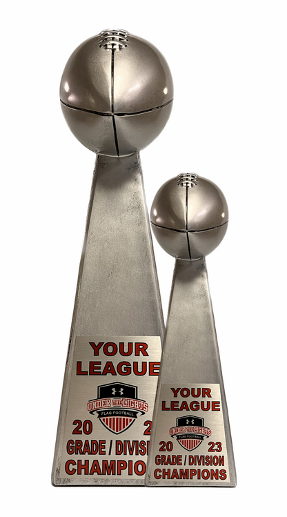 Small Silver Champion Trophy