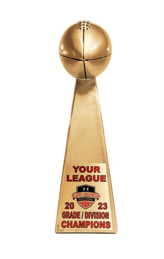 Large Gold Champion Trophy